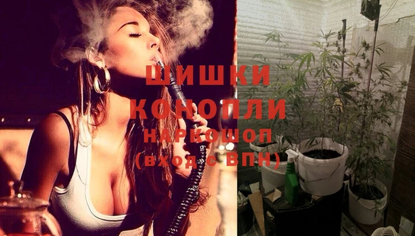 винт Сосновый Бор