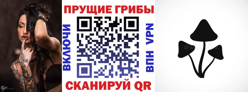 Псилоцибиновые грибы MAGIC MUSHROOMS  Купить  Владивосток 