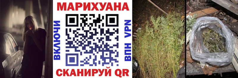 Шишки марихуана MAZAR  Купить где  Владивосток 